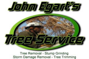 Tree Service | Colorado